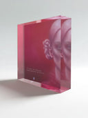 One Step Before the Break / Fragment #2 / ACRYLIC BLOCK