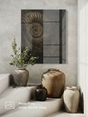 Ammonite. The Memory Spiral / ACRYLIC PHOTO PRINT
