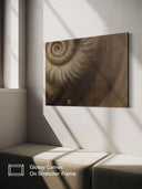 Ammonite. The Memory Spiral / Fragment #3 / GLOSSY CANVAS