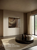 Ammonite. The Memory Spiral / Fragment #3 / ACRYLIC PHOTO PRINT