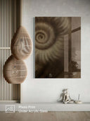 Ammonite. The Memory Spiral / Fragment #1 / ACRYLIC PHOTO PRINT