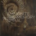 Ammonite. The Memory Spiral