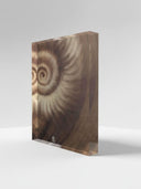 Ammonite. The Memory Spiral / Fragment #1 / ACRYLIC BLOCK