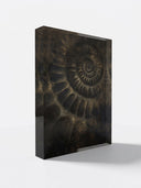 The First Door /SOM-26-004/  Acrylic Block