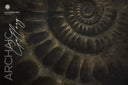 The First Door /SOM-26-004/ The Original Artwork