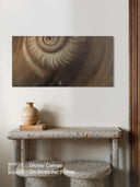 Ammonite. The Memory Spiral / Fragment #4 / GLOSSY CANVAS