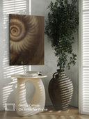 Ammonite. The Memory Spiral / Fragment #1 / GLOSSY CANVAS