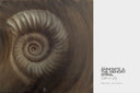 Ammonite. The Memory Spiral 80*80 / The Original Artwork