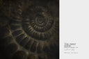 The First Door /SOM-26-004/ The Original Artwork