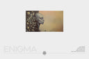 ENIGMA / The Original Artwork