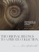 Ammonite. The Memory Spiral / GLOSSY CANVAS