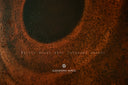 Vessels of Time /VOT-26-010/ The Original Artwork