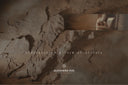 Moai. The Silent Witness / The Original Artwork