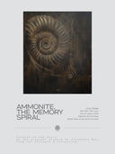 Ammonite. The Memory Spiral / GLOSSY CANVAS