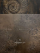 Ammonite. The Memory Spiral / GLOSSY CANVAS
